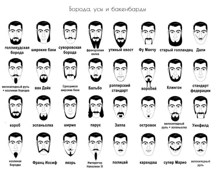 Модели мужской бороды